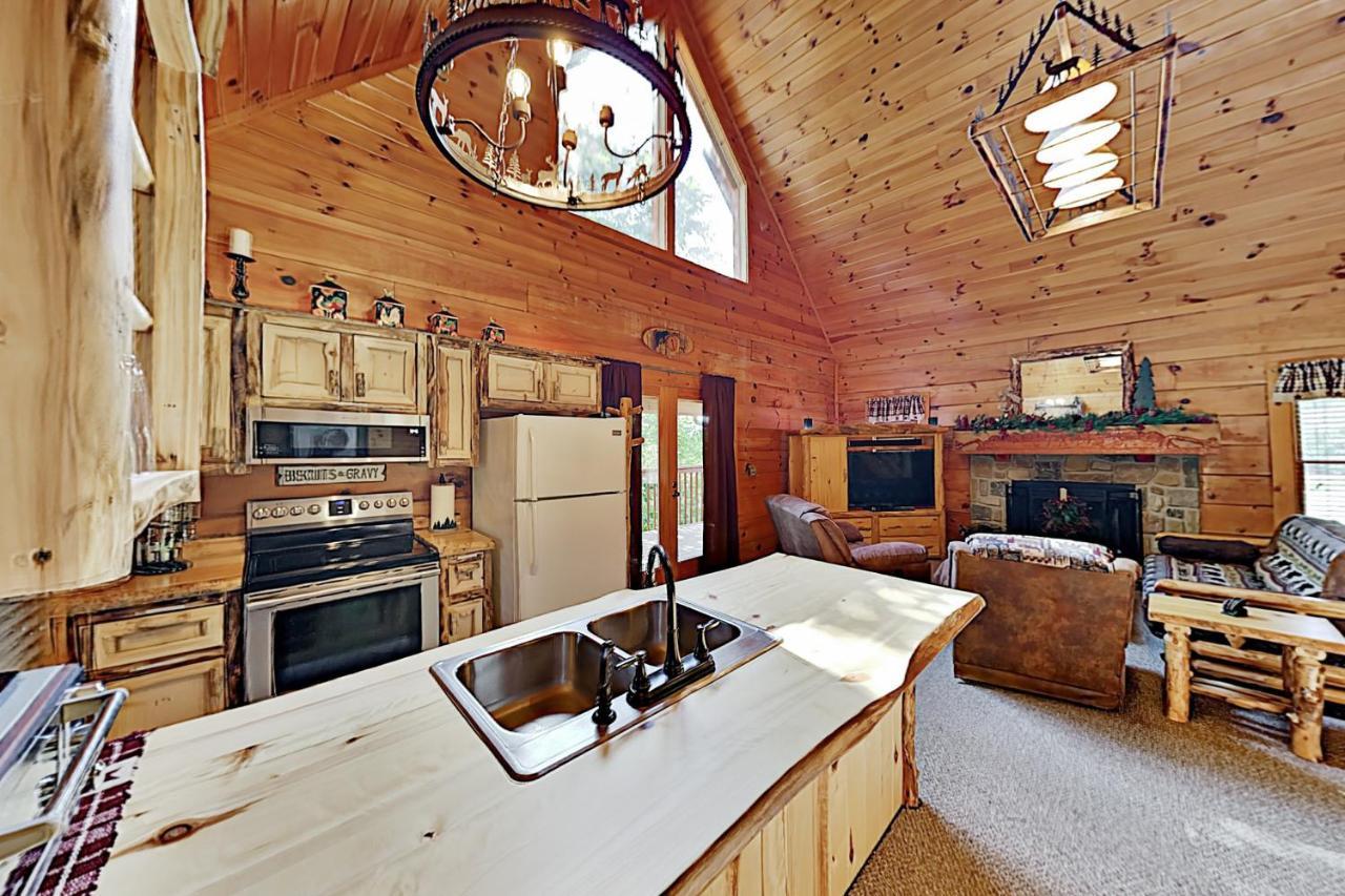 Happy Bear Hollow Vila Sevierville Exterior foto